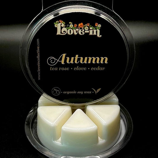 AUTUMN aroma melts