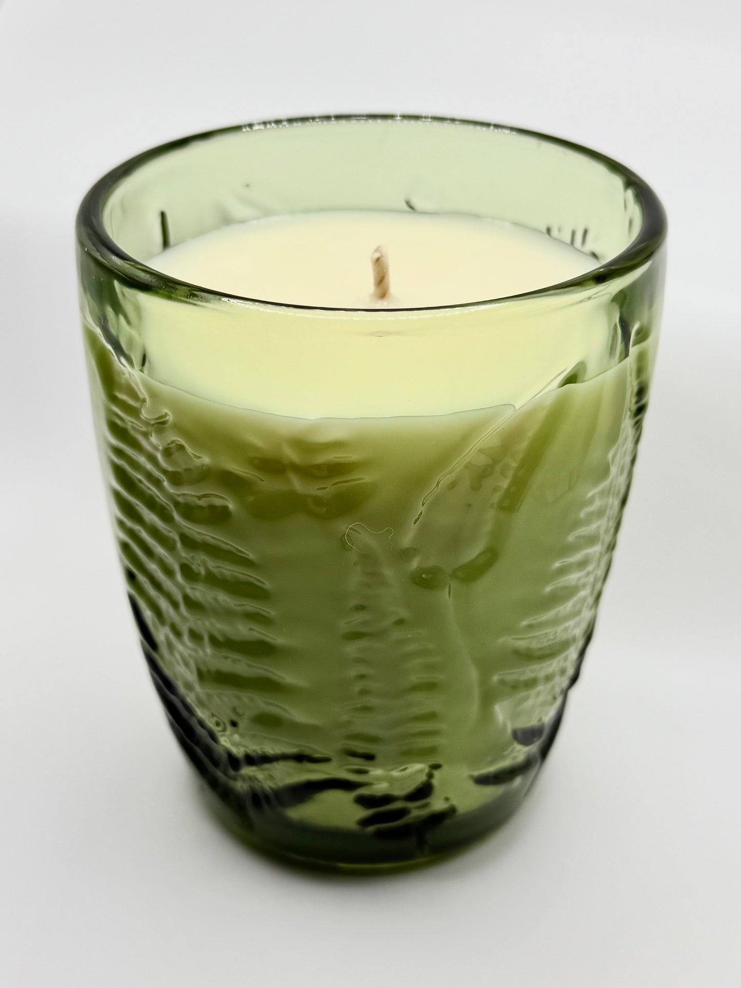 WINTER POTPOURRI soy candle ~ 10oz